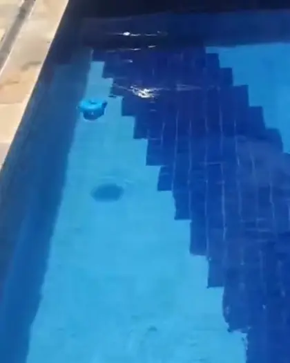 Piscina de água azul e limpa, com pastilhas azul-escuras em degraus e um flutuador de cloro na água